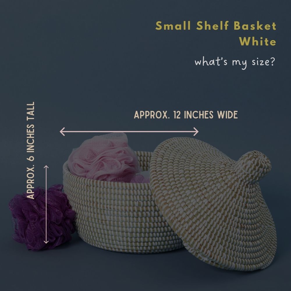 Small Decorative Shelf Basket with Lid, 10-12" Wide