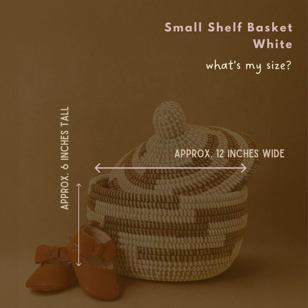 Small Decorative Shelf Basket with Lid, 10-12" Wide