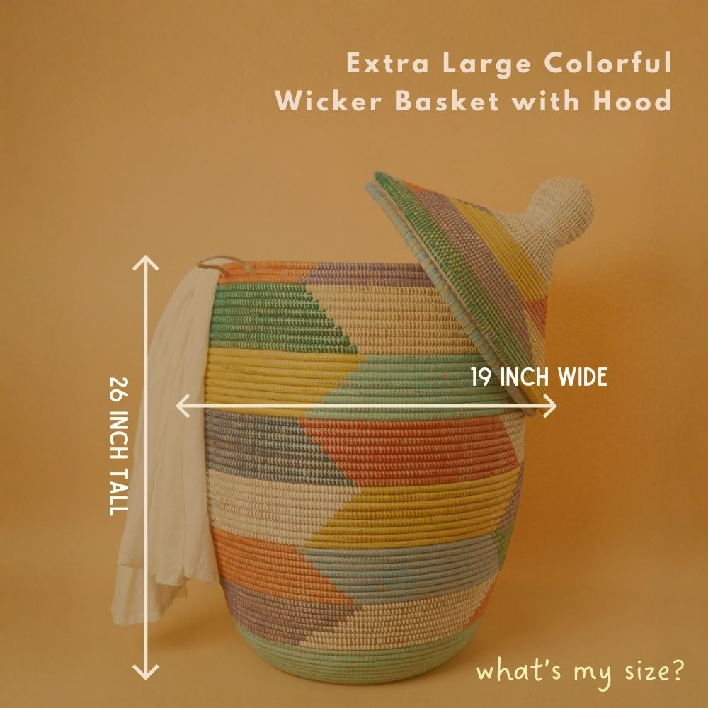 Colorful Wicker Storage Baskets with Hooded Lids
