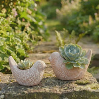Small Rangoli Terracotta Bird Pot Set