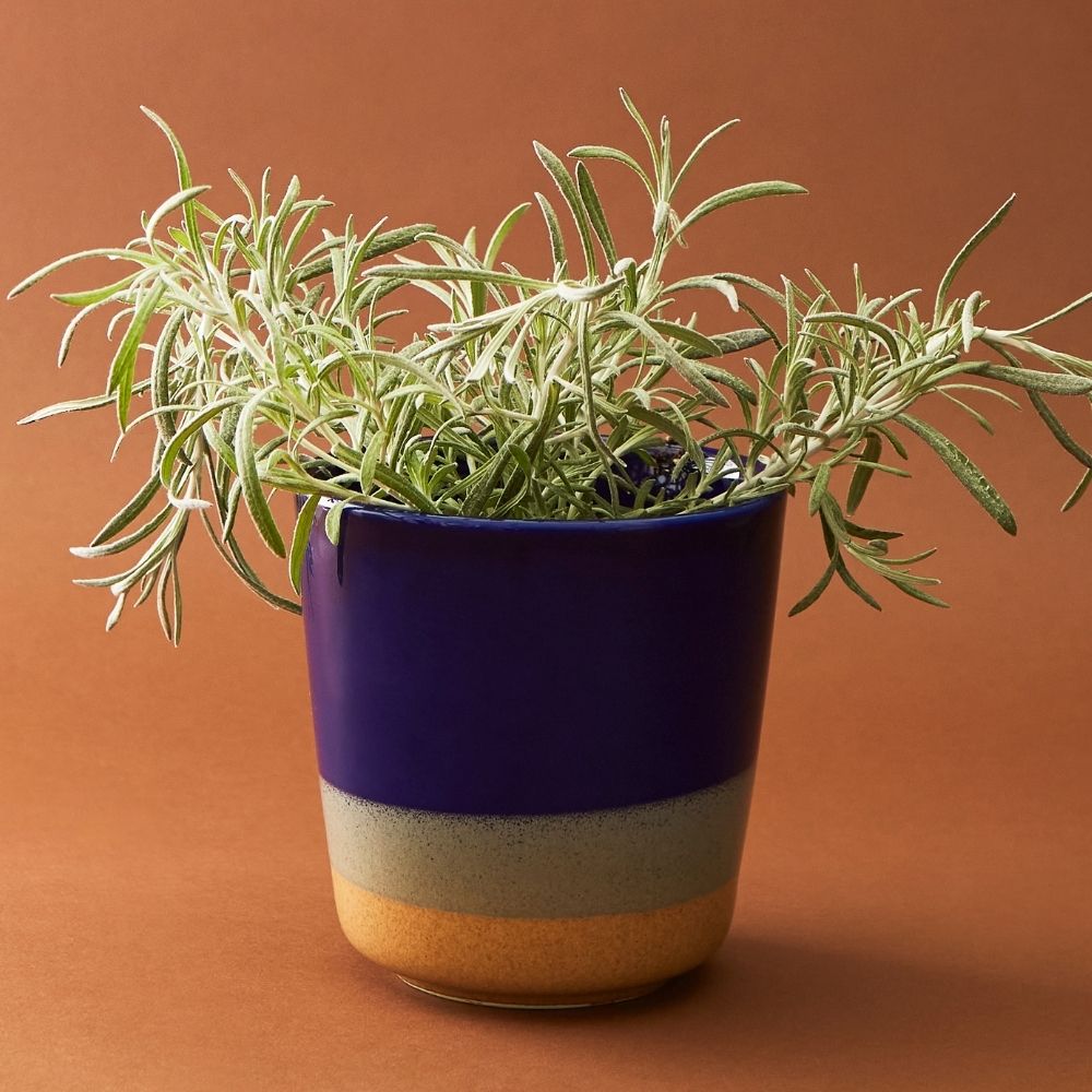 Large Ocean Ceramic Planter