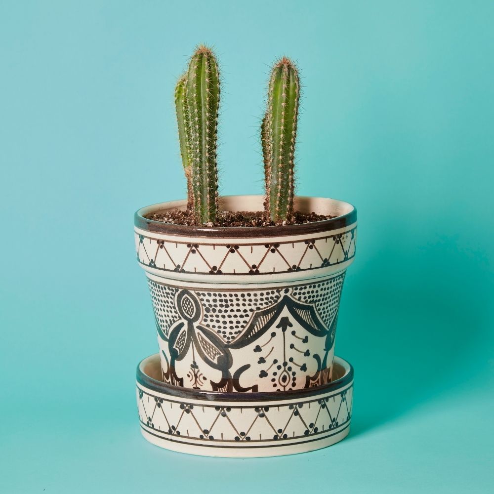 Black Arabesque Ceramic Large Planter