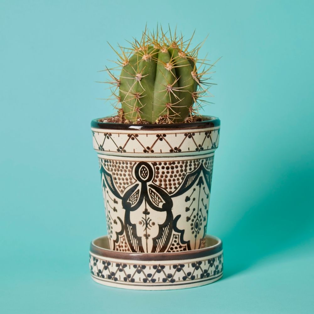 Black Arabesque Ceramic Planter Set