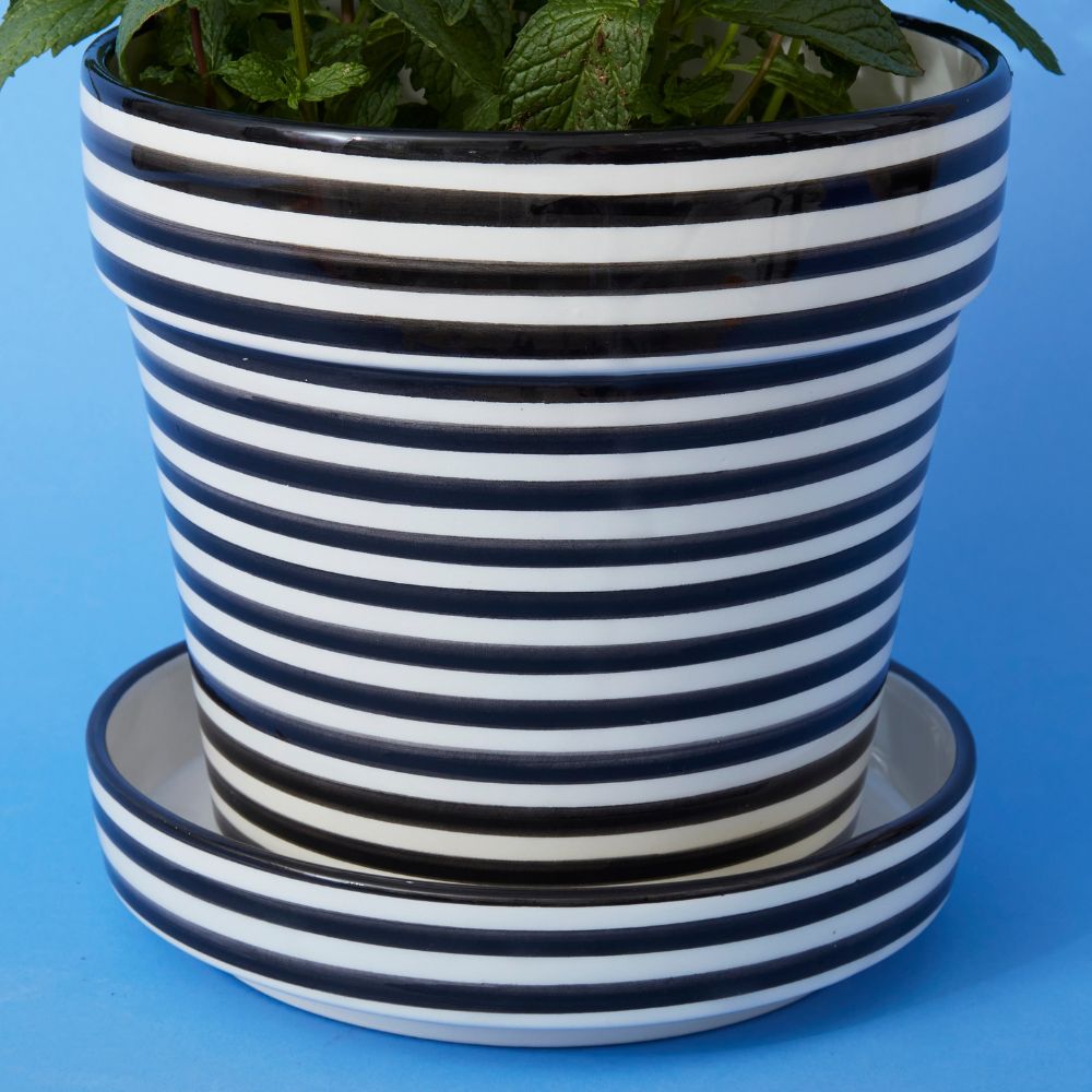 black and white striped pot plant Black Striped Ceramic Large Planter – Artisan Variety