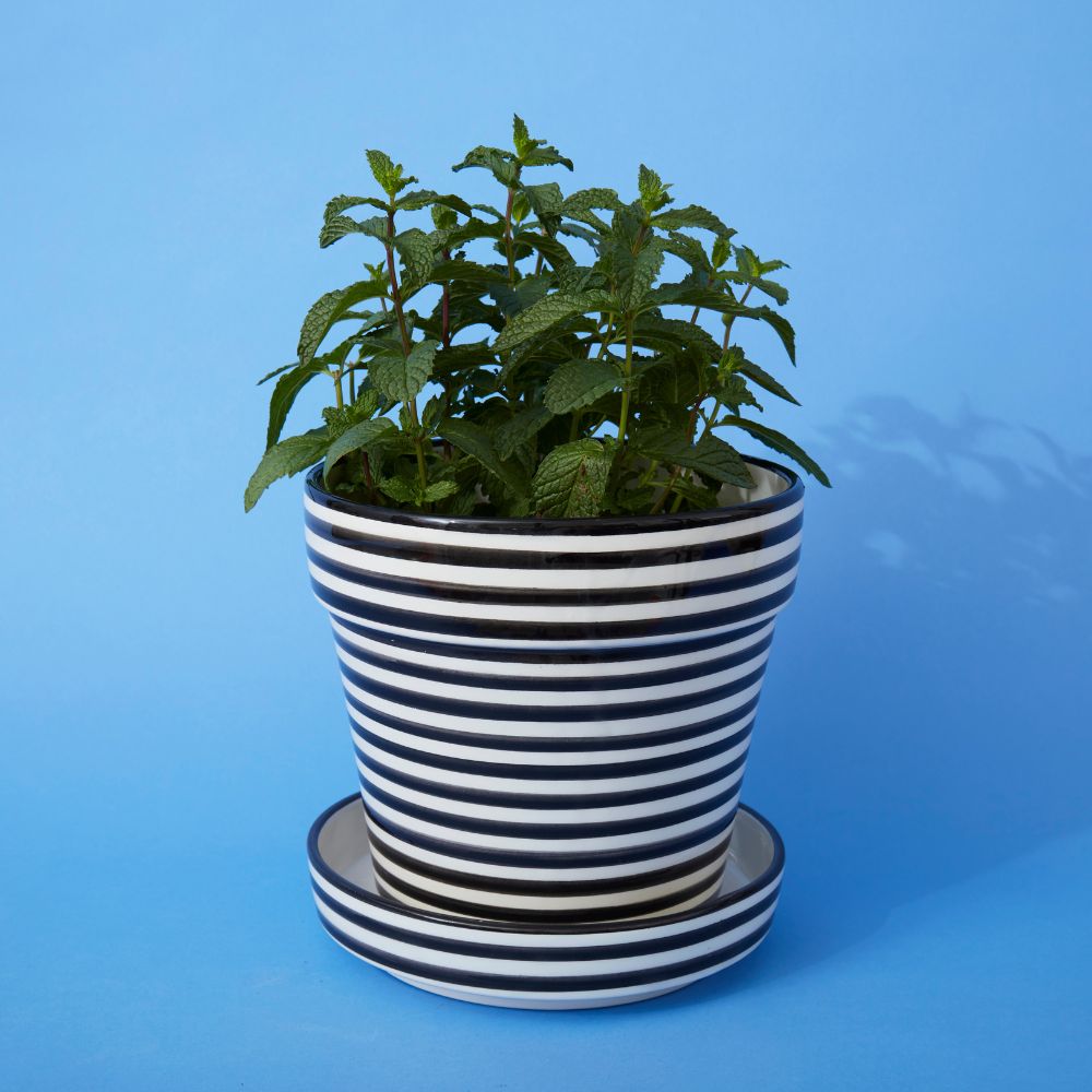 Black Striped Ceramic Planter Set