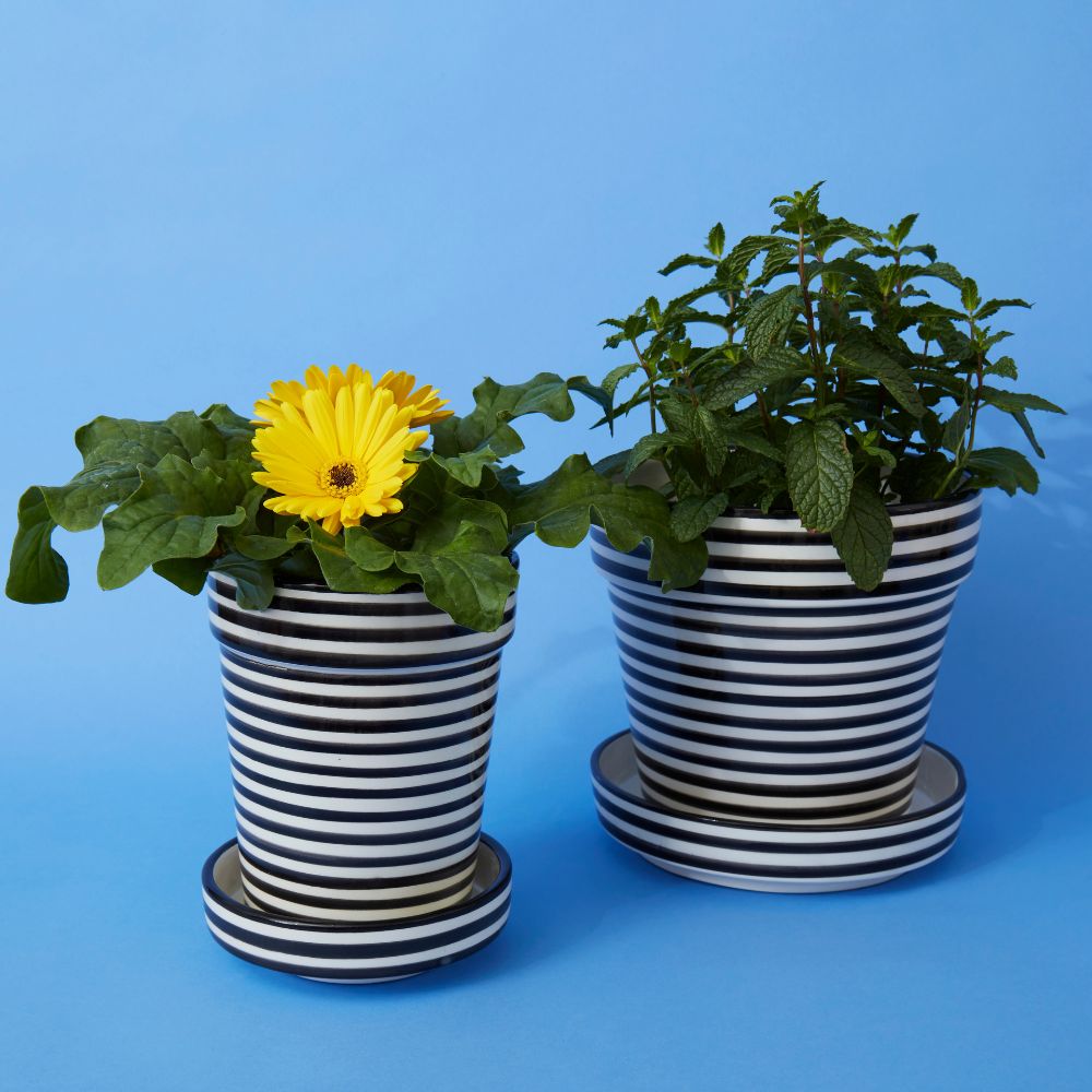 Black Striped Ceramic Small Planter