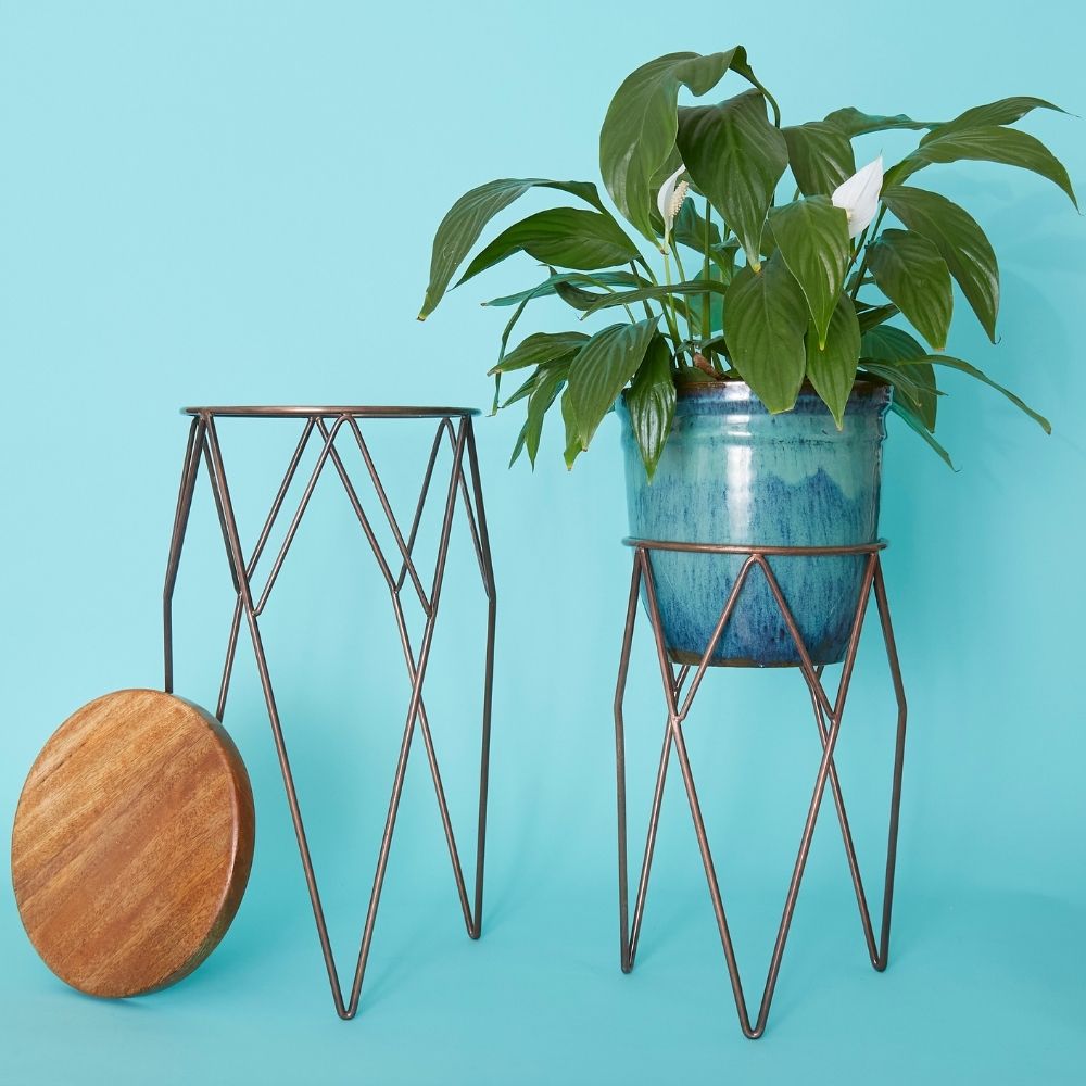 Tall Iron Wire Plant Stand Set