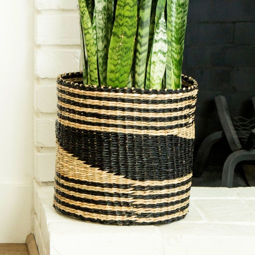small woven plant basket 14" Small Geometric Seagrass Planter Shelf Baskets Set – Artisan Variety
