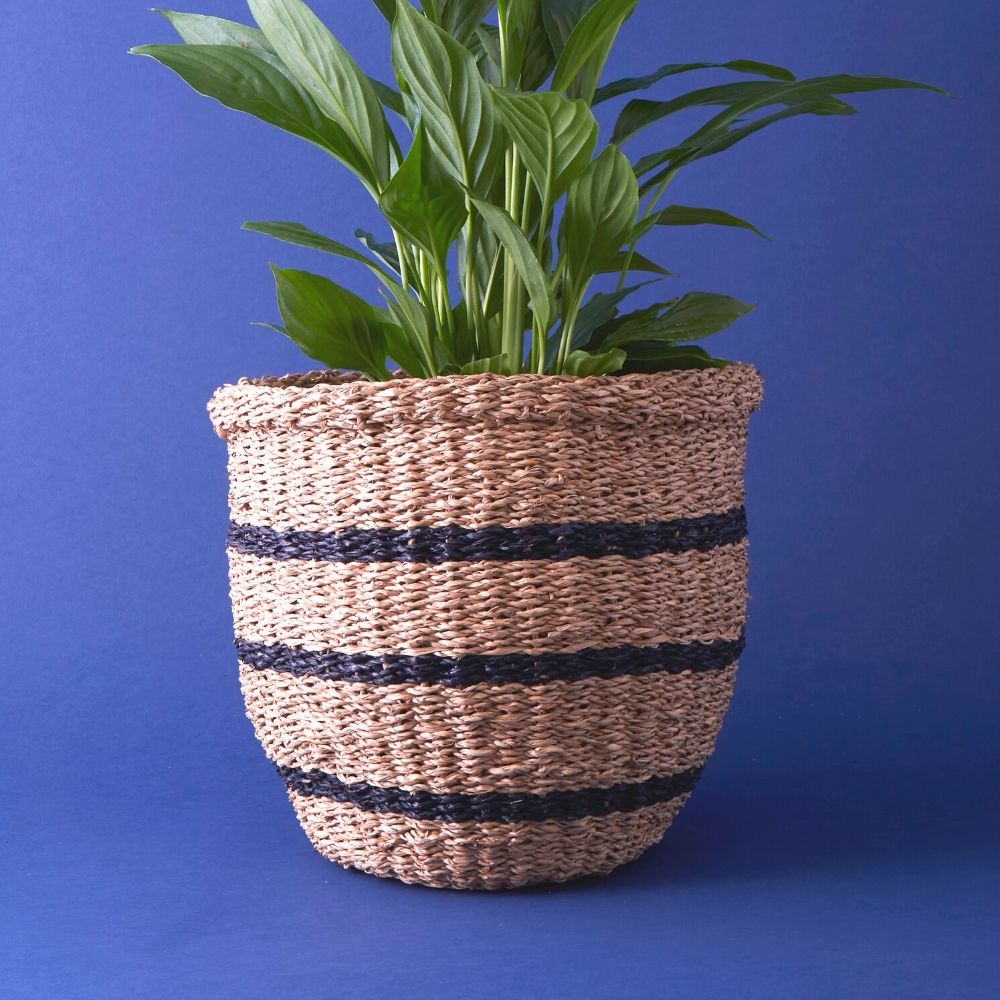 Vietnam Medium Hand Woven Seagrass Tumbler Basket