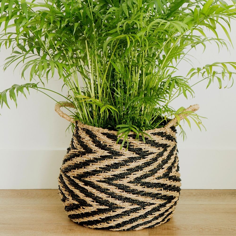 14" Small Zig Zag Seagrass Planter Shelf Basket