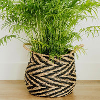 14" Small Zig Zag Seagrass Planter Shelf Basket