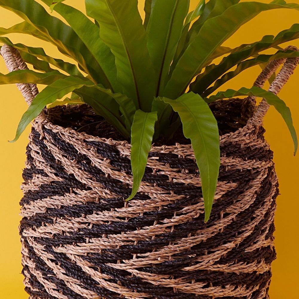 14" Small Zig Zag Seagrass Planter Shelf Basket