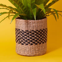 Vietnam Small Hand Woven Seagrass Herringbone Basket