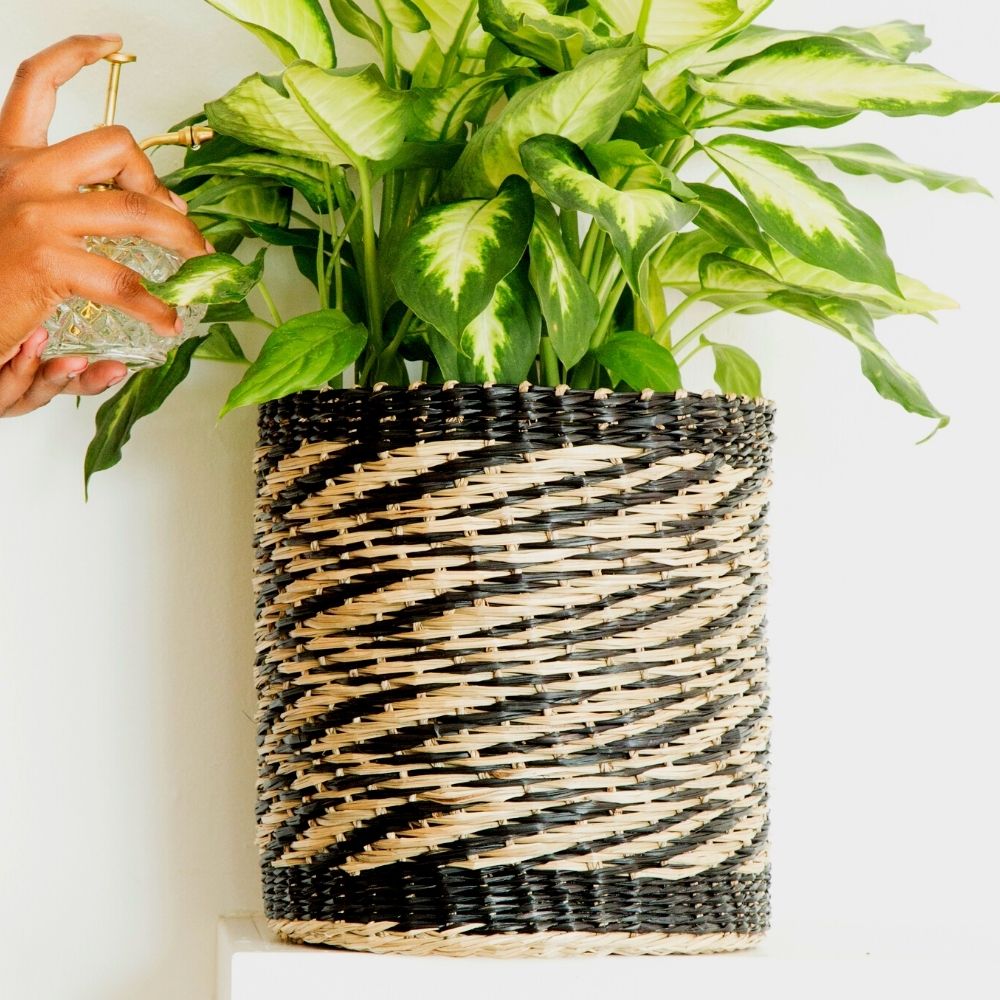 10" Small Zig Zag Seagrass Planter Shelf Basket