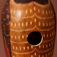 Owl Gourd Bird House