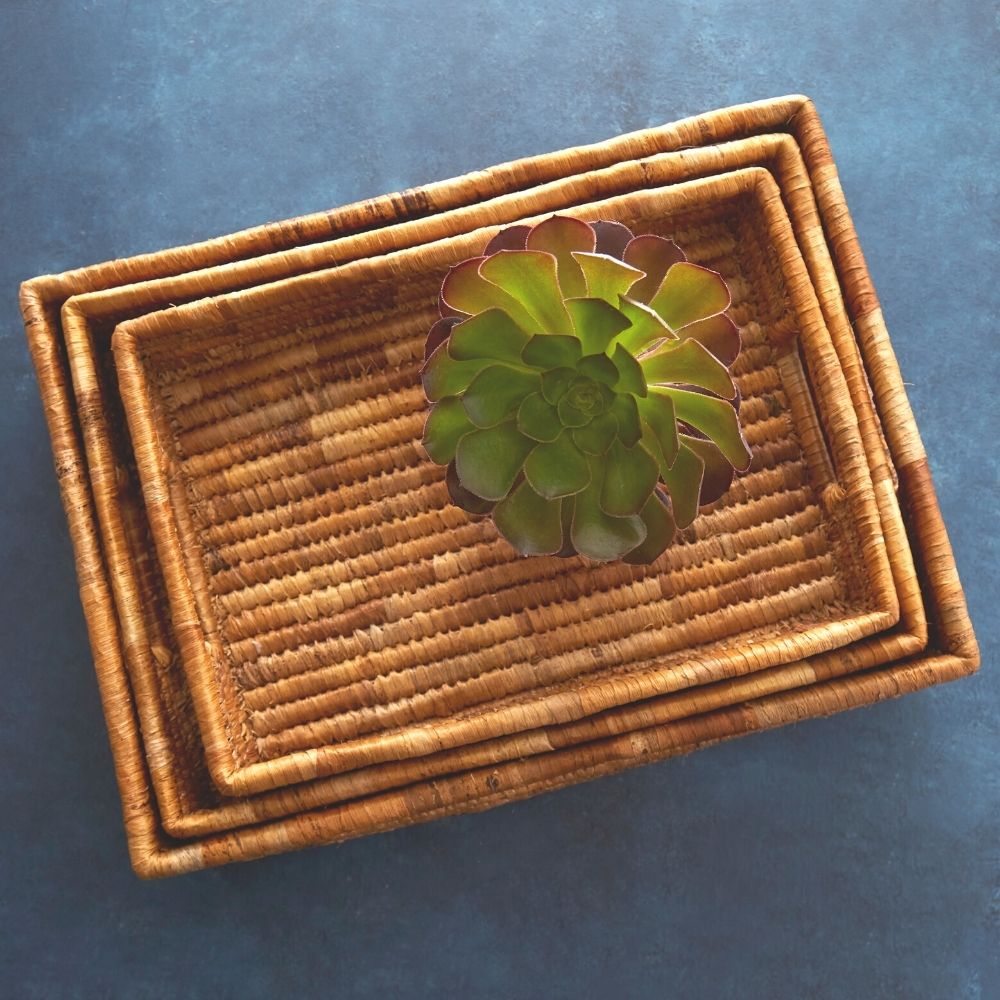 Medium Banana Leaf Fruit Bread Office Rectangle Tray