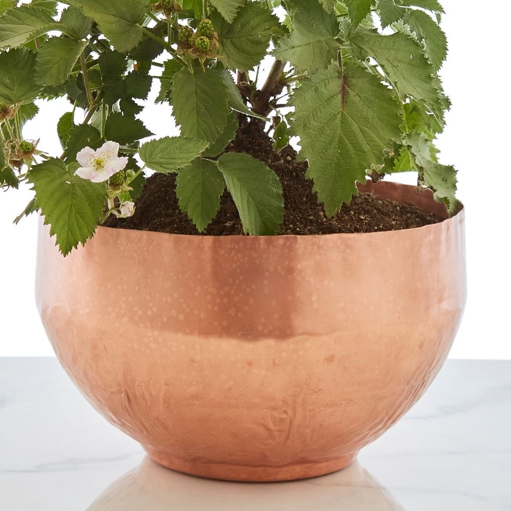 Large Pure Raw Copper Planter