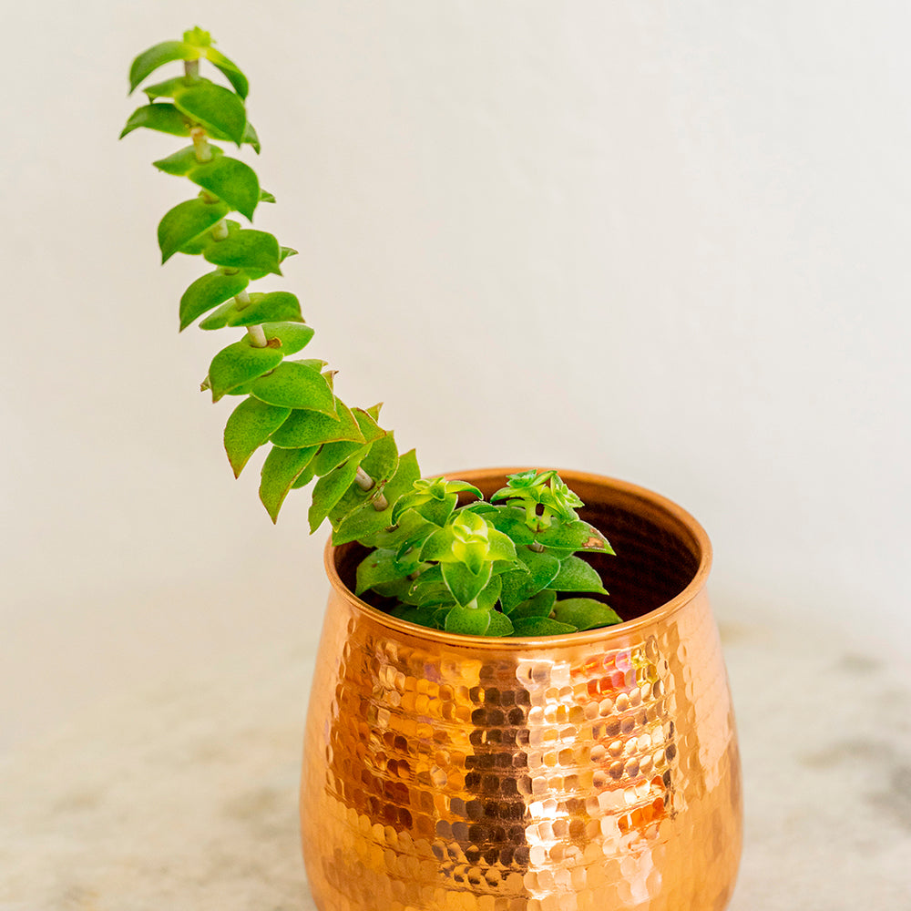 Small Hand Hammered Copper Succulent Pot